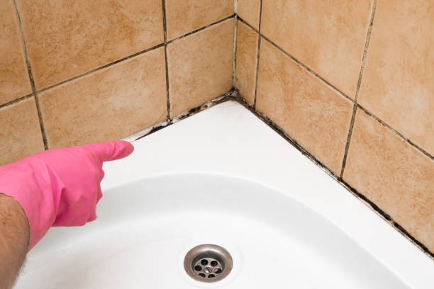 Best Professional Mold Removal  in Guttenberg, IA